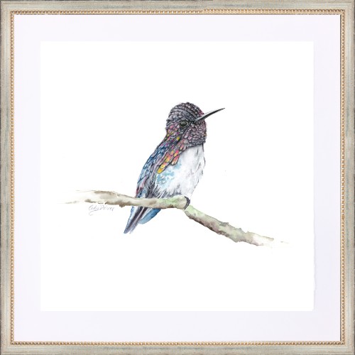 CD- HUMMINGBIRD 6